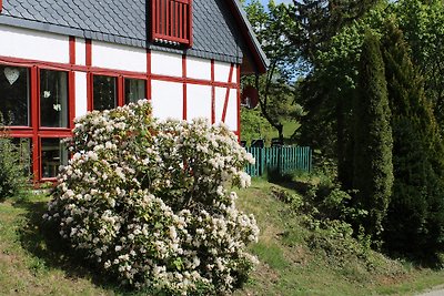 Kuća za odmor Harz s kućom u srcu 1