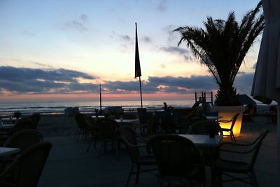 Ferienwohnung Gartenblick Zandvoort