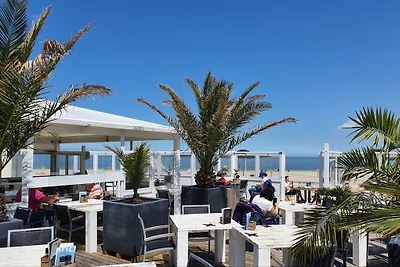 Ferienvilla Zeeduin direkt am Meer