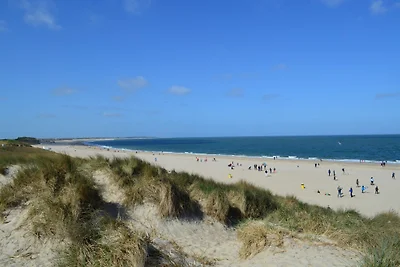 Ferienvilla Zeeduin direkt am Meer