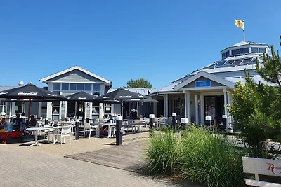 Ferienvilla Zeeduin direkt am Meer