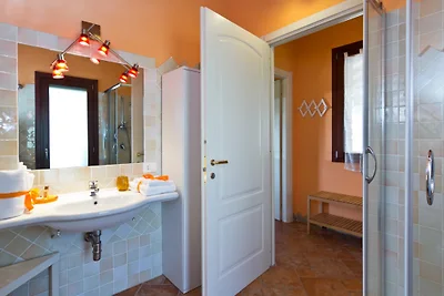 ORANGE HOUSE