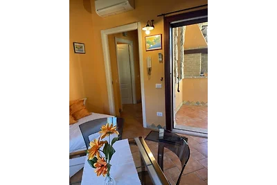 ORANGE HOUSE