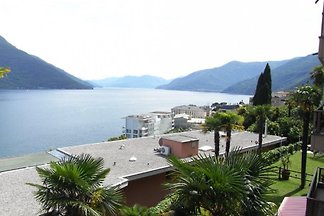 Casa Palmiera