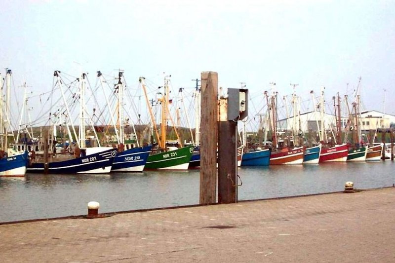 Fischerhafen