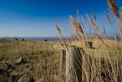 Kogge Dangast Vorderkastell Nr.5