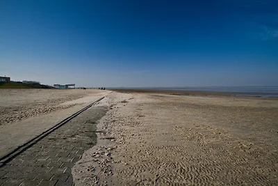 Cog Dangast lancio n. 7
