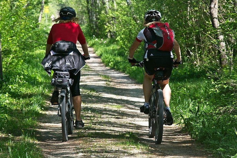 Abenteuerliche Fahrradtour durch den Wald mit Rennrädern und Helmen.
