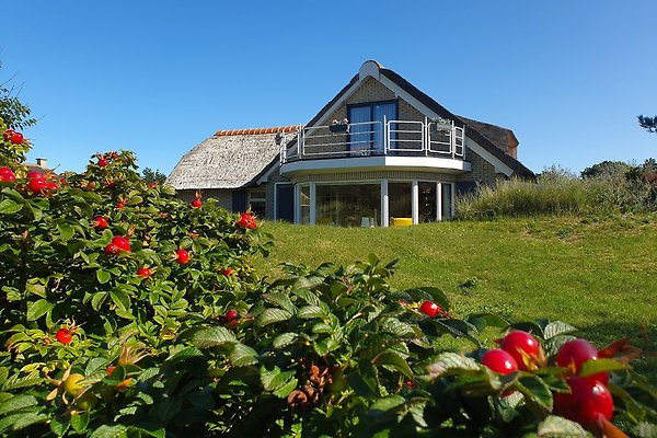 Ferienhaus Buren