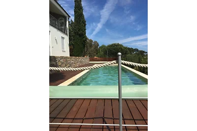 Il pino blu