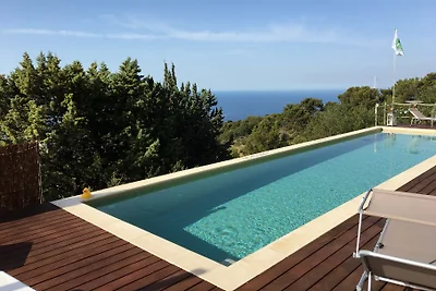 Il pino blu