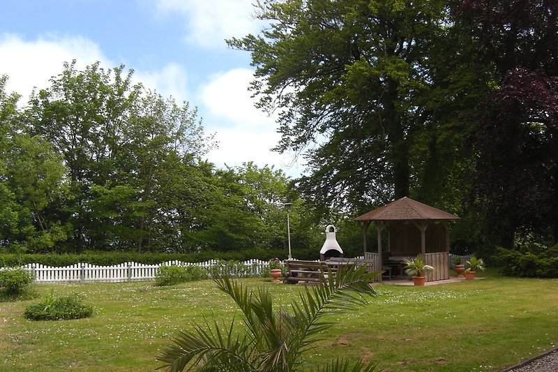 Vista del giardino con area barbecue