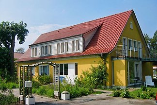 Gartenblick