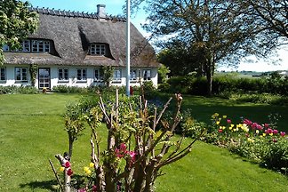 SONDERBYGAARD Romantik