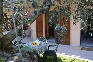 APARTAMENTO TOSCOLANO Lago de Garda
