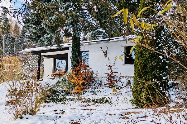 Ferienhaus Bad Elster