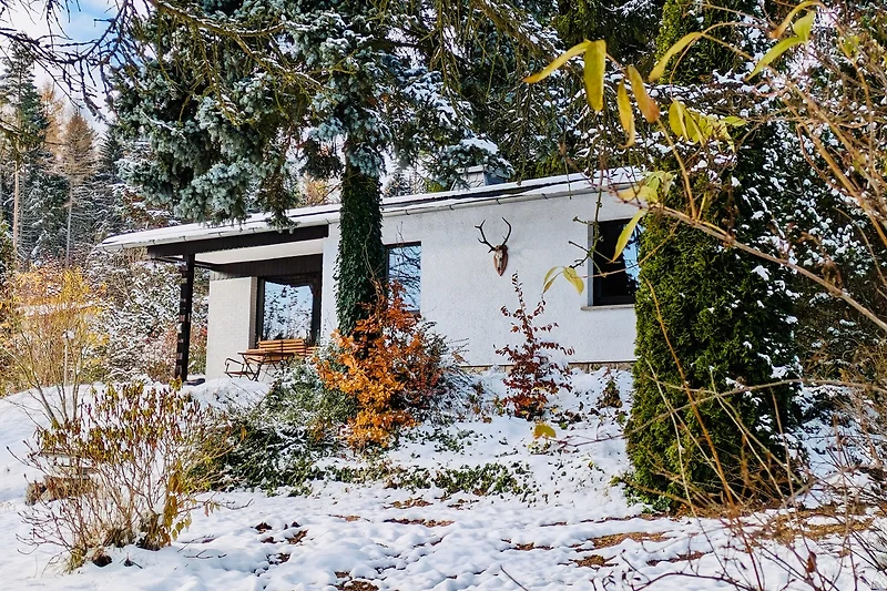 Feriendomizil im Winter