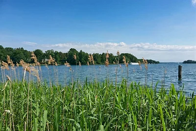 Vacanze al lago Scharmützel