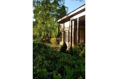 Vacanze al lago Scharmützel