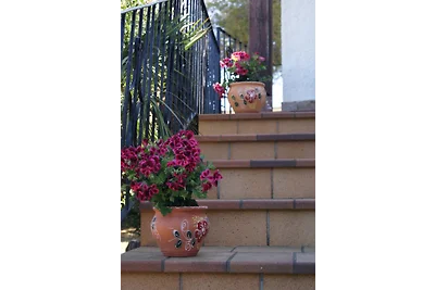 Casa Penelope