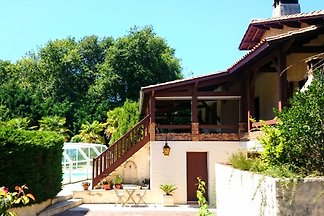 Le Jolly Vine