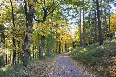 Ferienhäuser Förster Suhl,Konrad