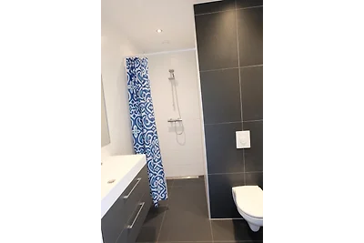 Ferienhaus Gentiaan 11