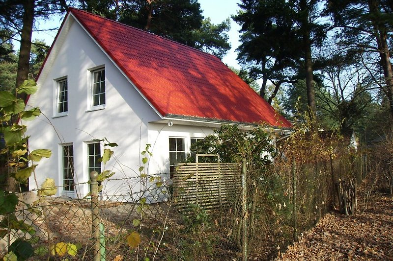 Kuća s pogledom na šumu