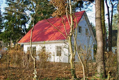 Lux. Casa vacanze sul lago vicino a Berlino
