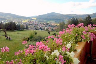 Haus Sonnenfels, 94249 Bodenmais