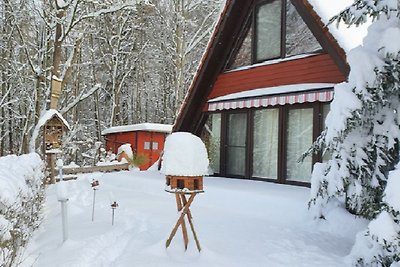 comfortable holiday home by the forest +++