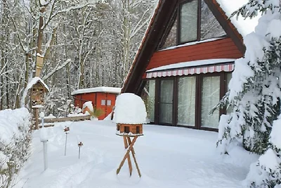 confortevole casa vacanze nella foresta +++