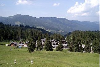 Steinbock 16