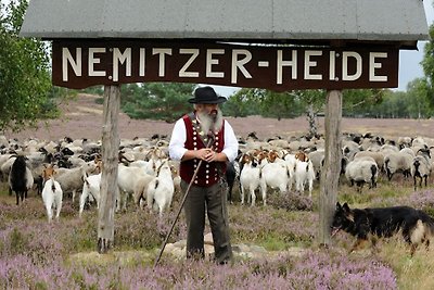 Vakantieboerderij Gauster