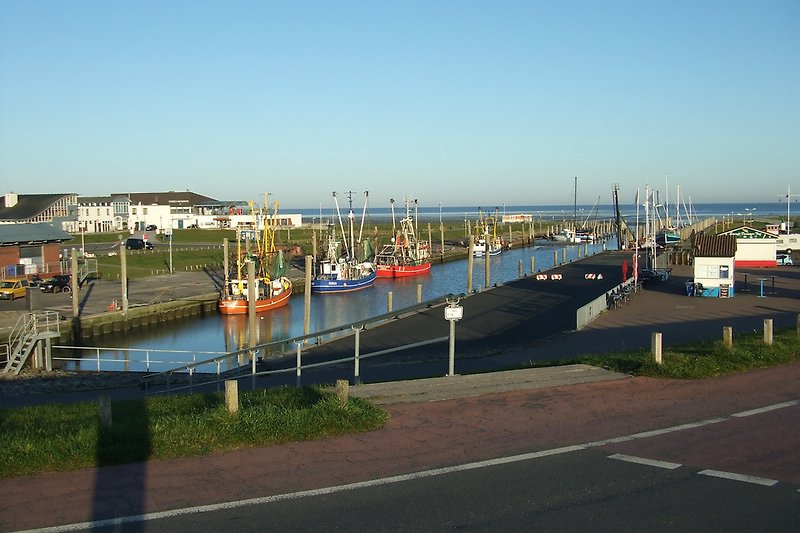 Kutterhafen
