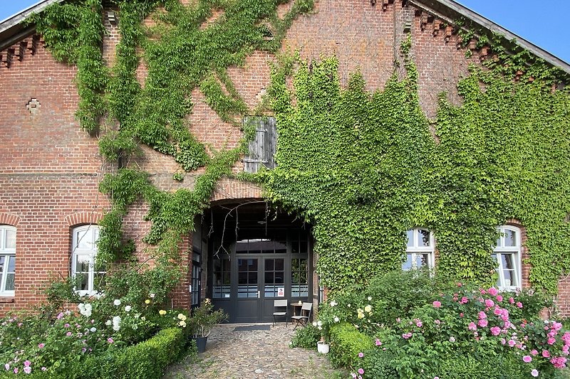 Charmantes Landhaus mit Reetdach, blühendem Garten und Steinmauer.