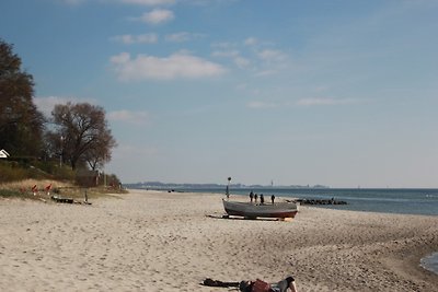 Ruhige, strandnahe Ostsee-FeWo