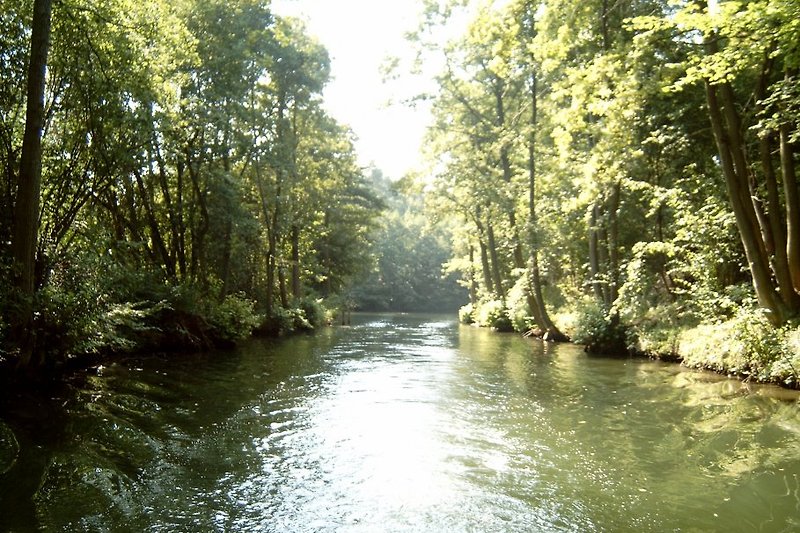 Canal Bolter vers le Müritz