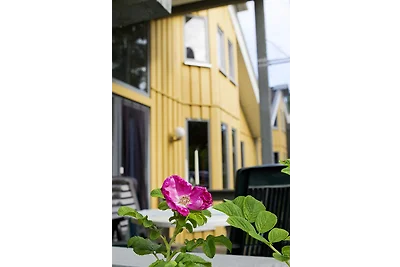 Wildgans Plus Haus 66