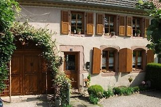 Die Schwalben im Herzen des Elsass