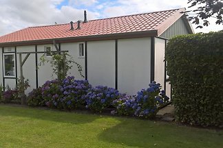 Maison de l'Oie Sauvage