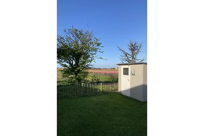 Ferienhaus Wildgans