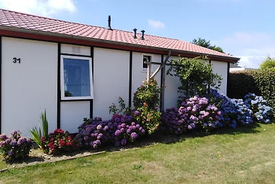 Ferienhaus Wildgans