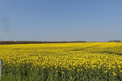 Ferienwohnung Kranichnest