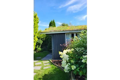 Ferienhaus Nord-Seehund