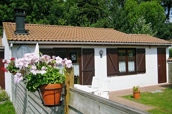 Ferienhaus Bredene