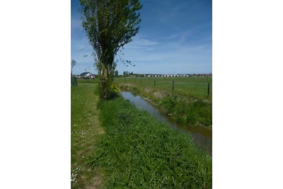 Fischerhaus,