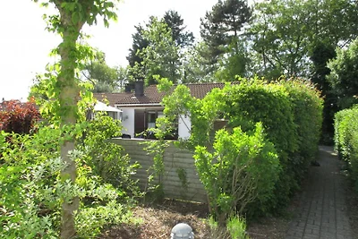 Dünenhaus