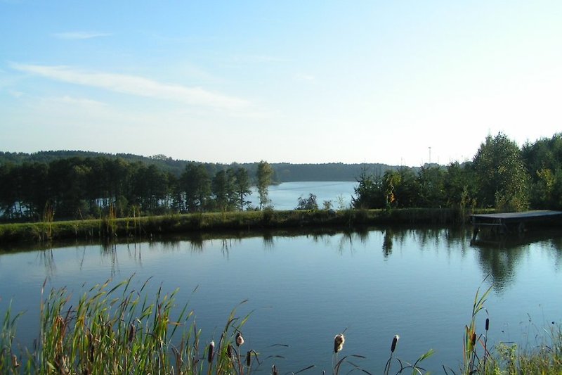 Pond and lake