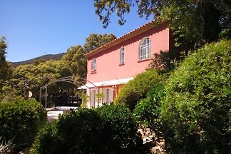 De part la haut
